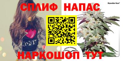 PSILOCYBIN Бузулук